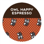 Gemini Happy Owls